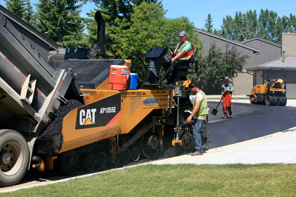 Best Driveway Stamping and Staining in Alafaya, FL